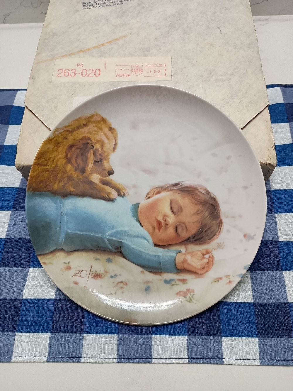 'Waiting To Play' Plate By Donald Zolan 'Children And Pets' Collection 1986